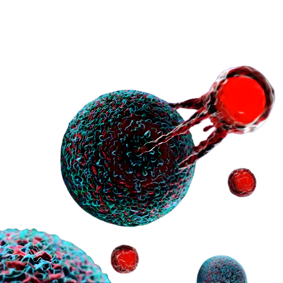 Cell